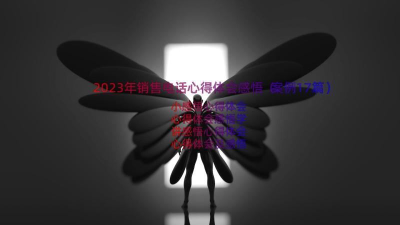 2023年销售电话心得体会感悟（案例17篇）