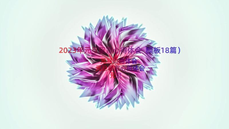 2023年元旦留言心得体会（模板18篇）