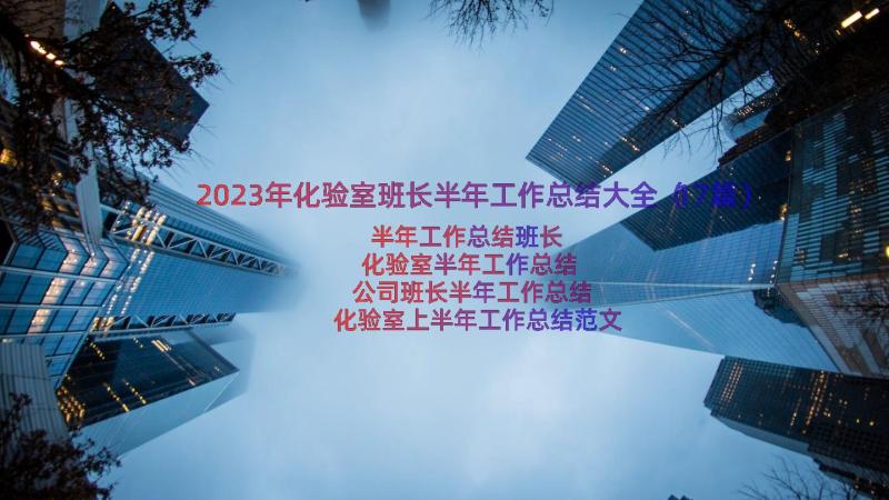 2023年化验室班长半年工作总结大全（17篇）