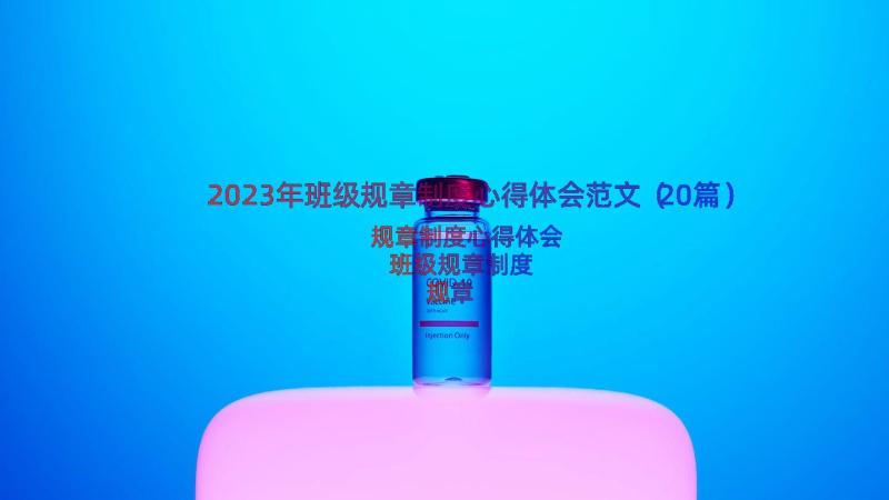 2023年班级规章制度心得体会范文（20篇）