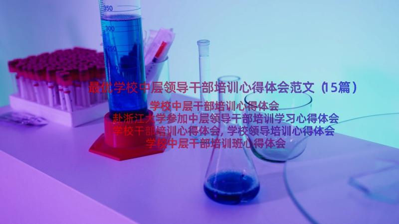 最优学校中层领导干部培训心得体会范文（15篇）