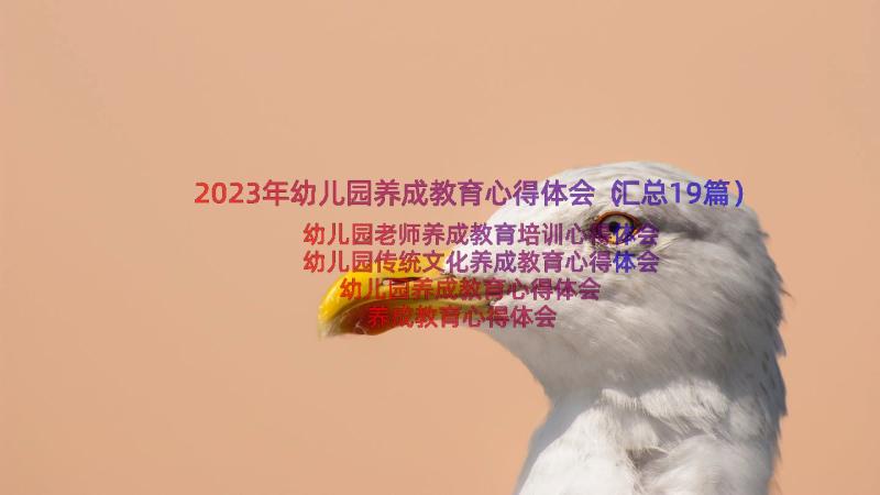 2023年幼儿园养成教育心得体会（汇总19篇）