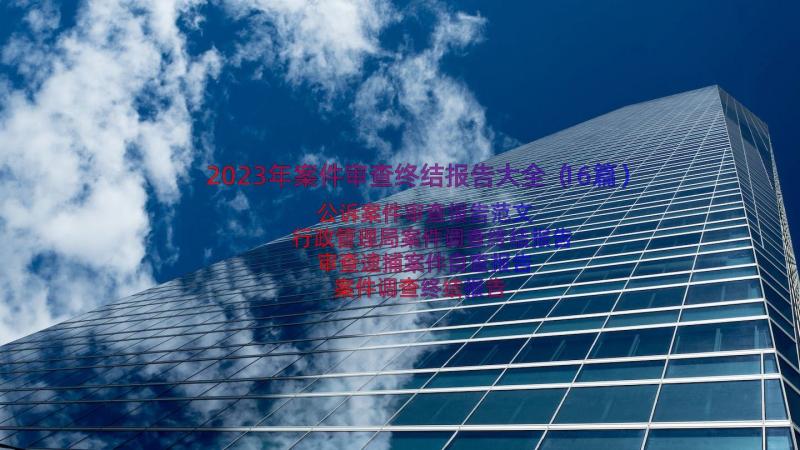 2023年案件审查终结报告大全（16篇）