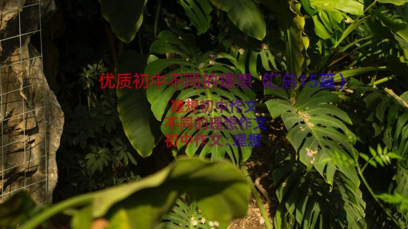 优质初中不同的理想（汇总15篇）