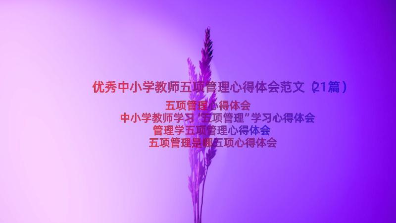 优秀中小学教师五项管理心得体会范文（21篇）