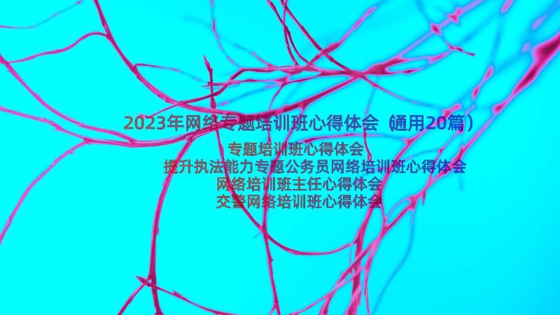 2023年网络专题培训班心得体会（通用20篇）