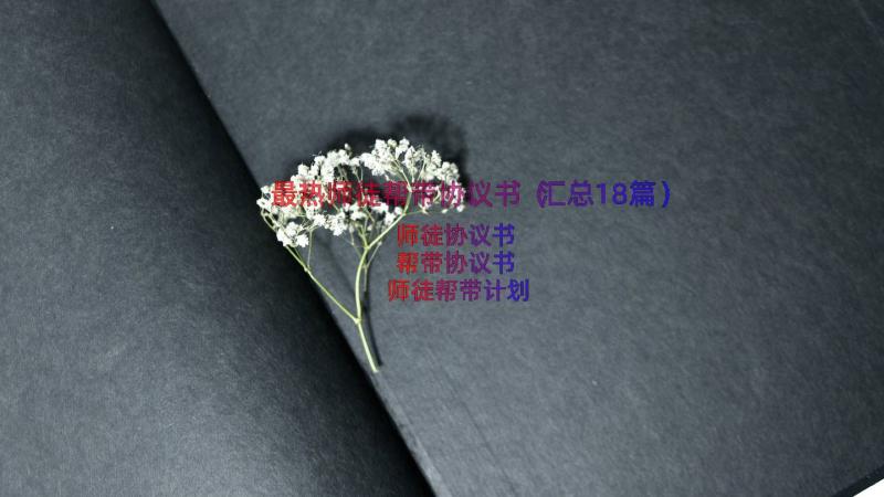 最热师徒帮带协议书（汇总18篇）