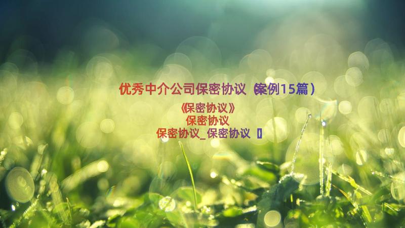 优秀中介公司保密协议（案例15篇）