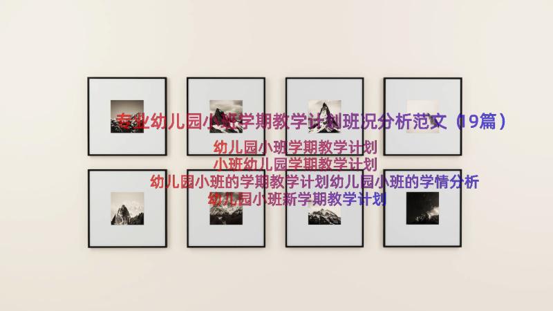 专业幼儿园小班学期教学计划班况分析范文（19篇）