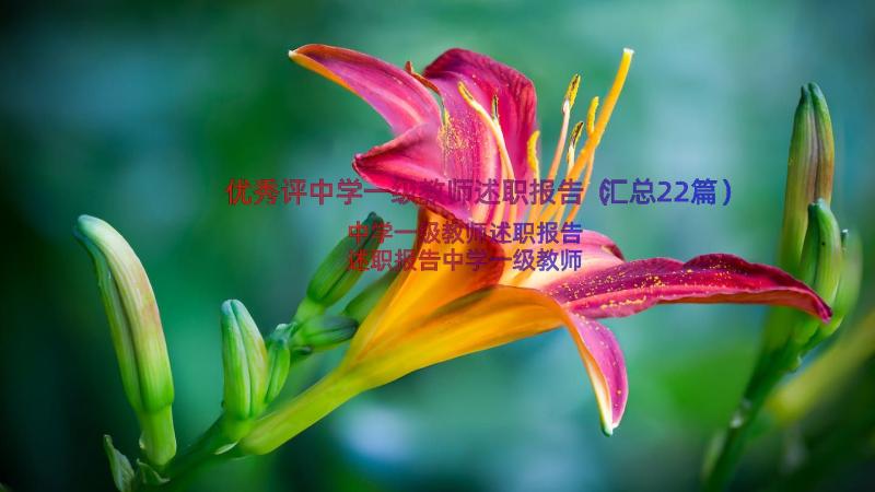 优秀评中学一级教师述职报告（汇总22篇）