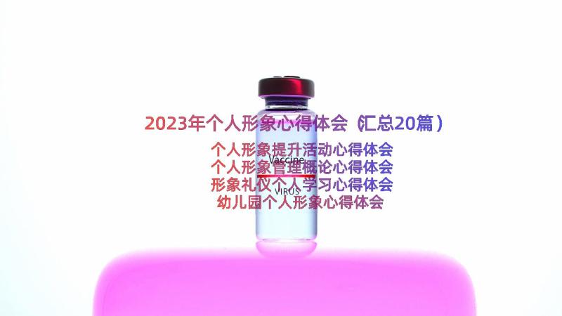 2023年个人形象心得体会（汇总20篇）