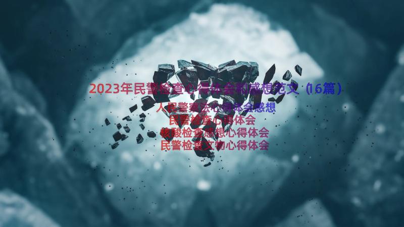 2023年民警检查心得体会和感想范文（16篇）