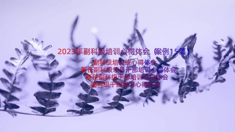 2023年副科级培训心得体会（案例15篇）