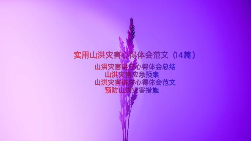 实用山洪灾害心得体会范文（14篇）