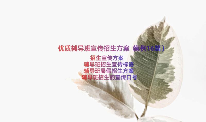 优质辅导班宣传招生方案（案例16篇）