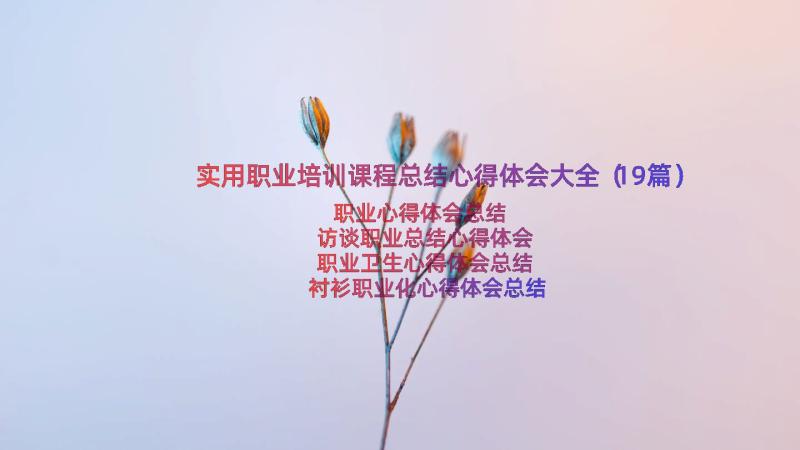 实用职业培训课程总结心得体会大全（19篇）