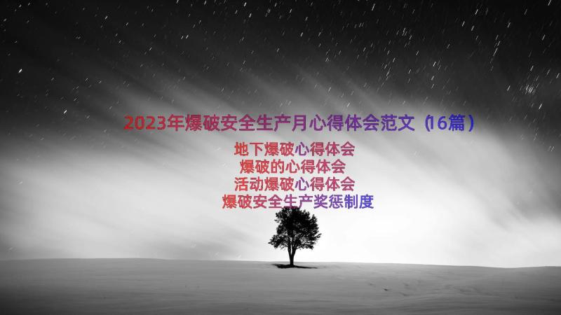 2023年爆破安全生产月心得体会范文（16篇）