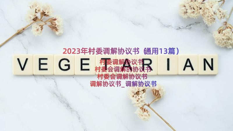 2023年村委调解协议书（通用13篇）