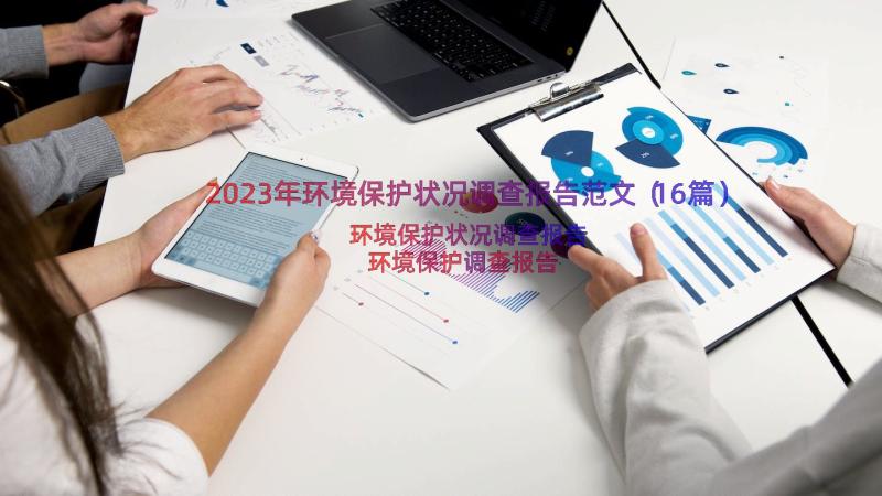 2023年环境保护状况调查报告范文（16篇）