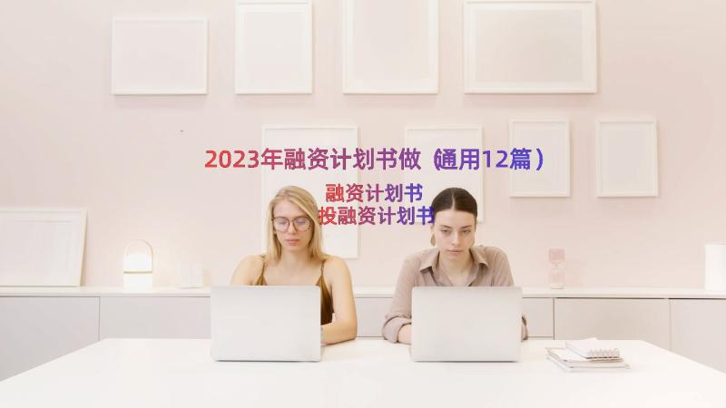 2023年融资计划书做（通用12篇）