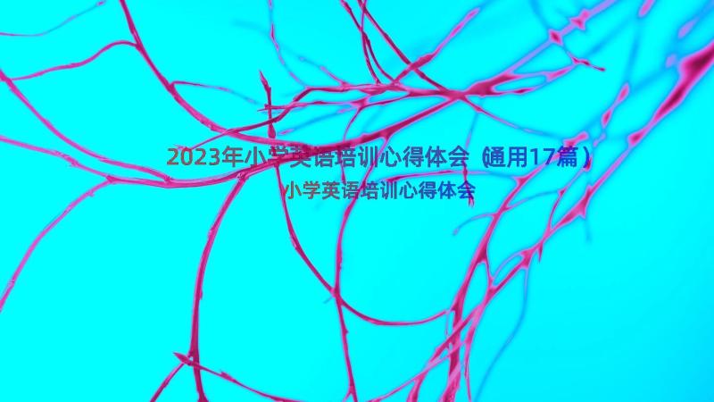 2023年小学英语培训心得体会（通用17篇）