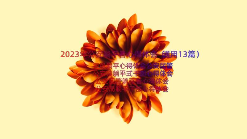 2023年公安躺平者心得体会（通用13篇）