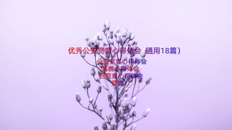 优秀公安竞赛心得体会（通用18篇）