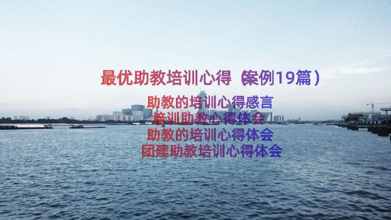 最优助教培训心得（案例19篇）