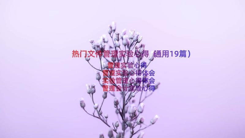 热门文件管理实验心得（通用19篇）