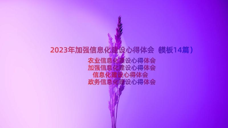 2023年加强信息化建设心得体会（模板14篇）