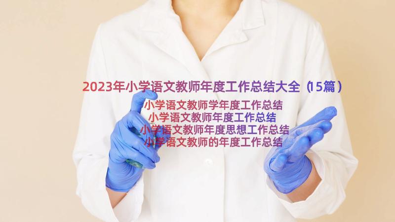 2023年小学语文教师年度工作总结大全（15篇）