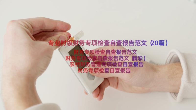 专业村级财务专项检查自查报告范文（20篇）