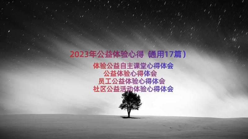 2023年公益体验心得（通用17篇）