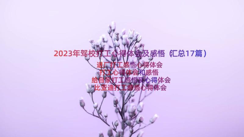 2023年驾校打工心得体会及感悟（汇总17篇）