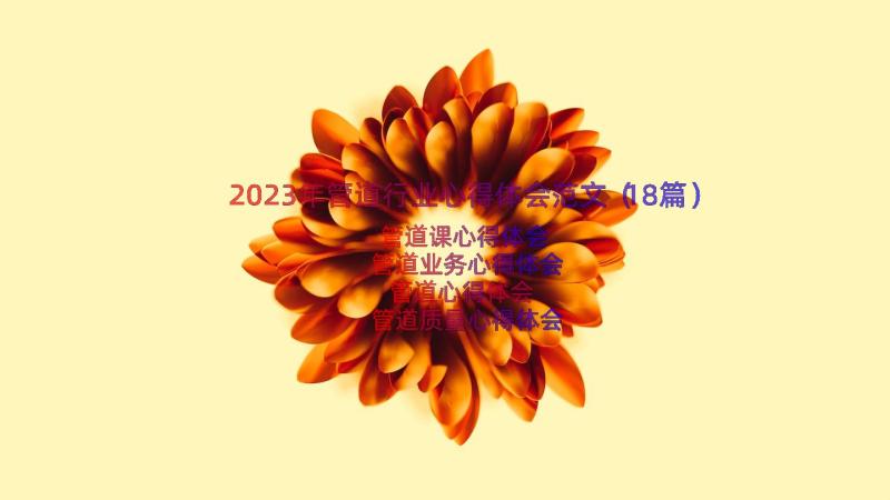 2023年管道行业心得体会范文（18篇）