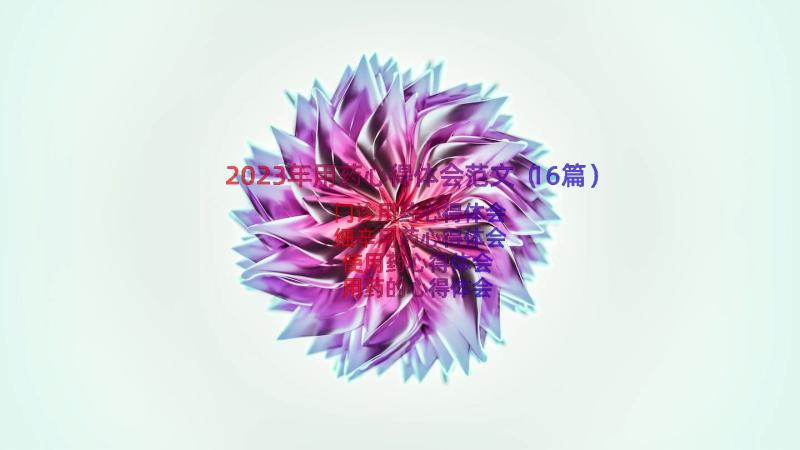 2023年用药心得体会范文（16篇）