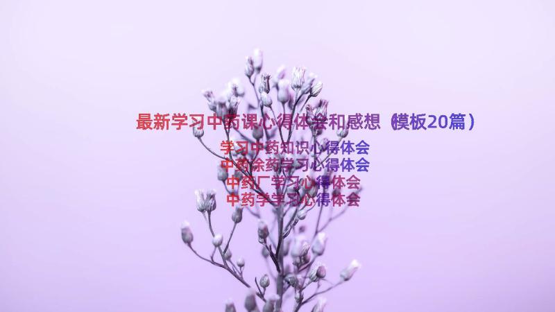 最新学习中药课心得体会和感想（模板20篇）