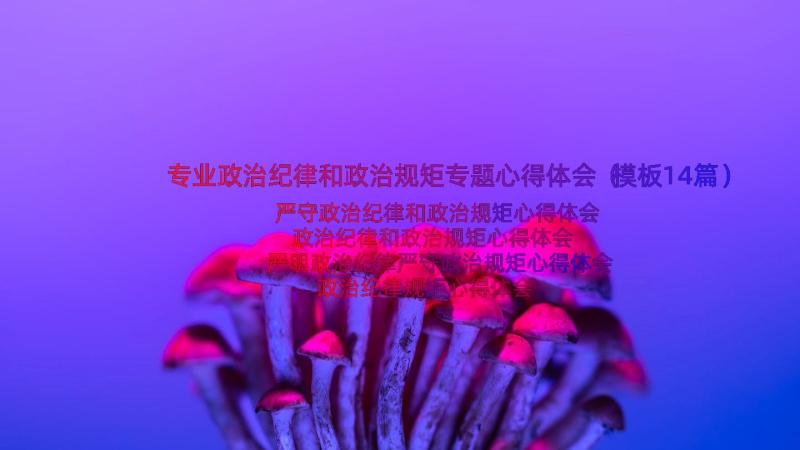 专业政治纪律和政治规矩专题心得体会（模板14篇）