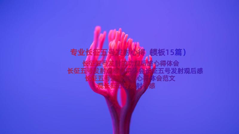 专业长征五号发射心得（模板15篇）