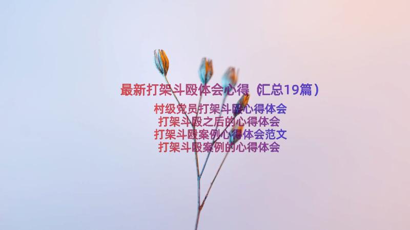 最新打架斗殴体会心得（汇总19篇）