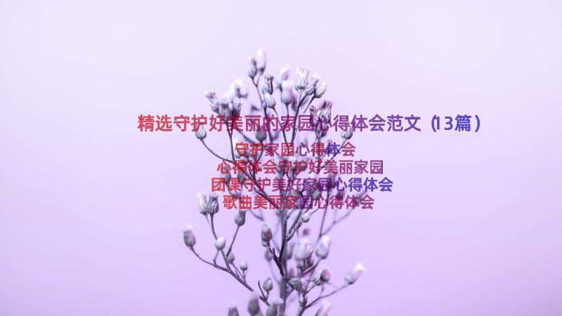 精选守护好美丽的家园心得体会范文（13篇）