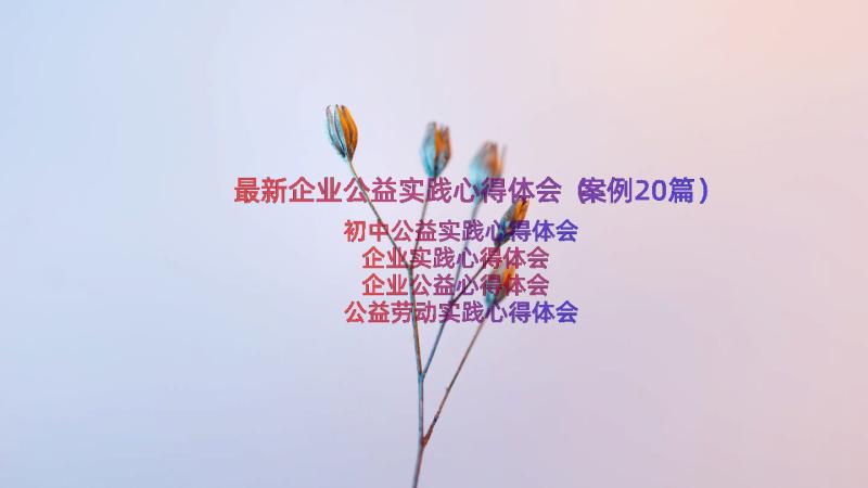 最新企业公益实践心得体会（案例20篇）