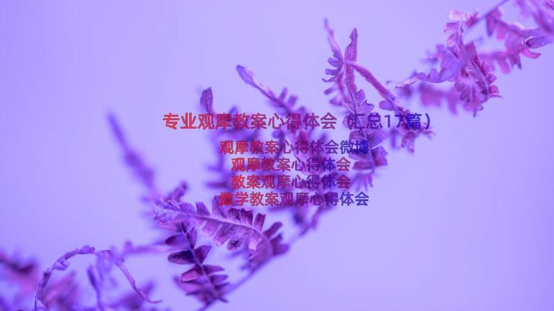 专业观摩教案心得体会（汇总17篇）