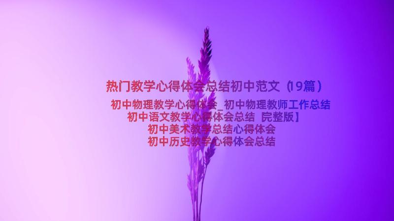 热门教学心得体会总结初中范文（19篇）