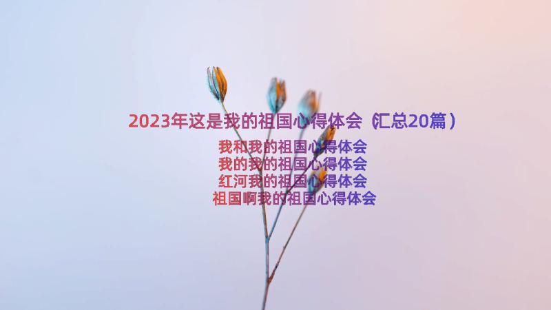 2023年这是我的祖国心得体会（汇总20篇）