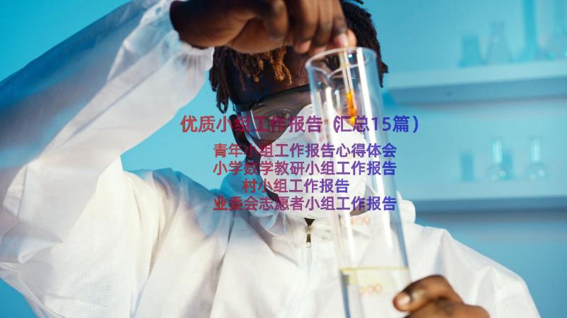 优质小组工作报告（汇总15篇）