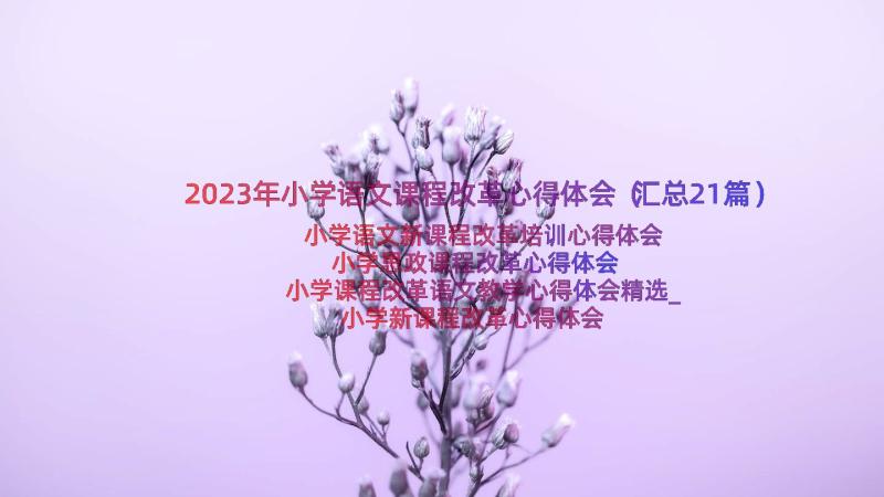 2023年小学语文课程改革心得体会（汇总21篇）