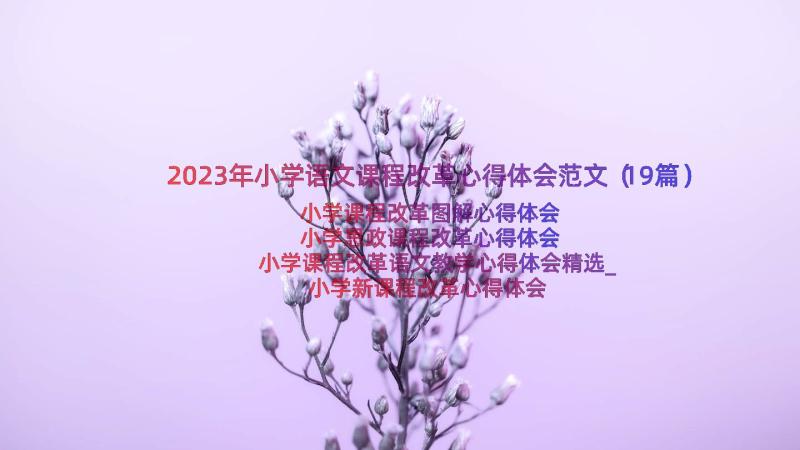 2023年小学语文课程改革心得体会范文（19篇）