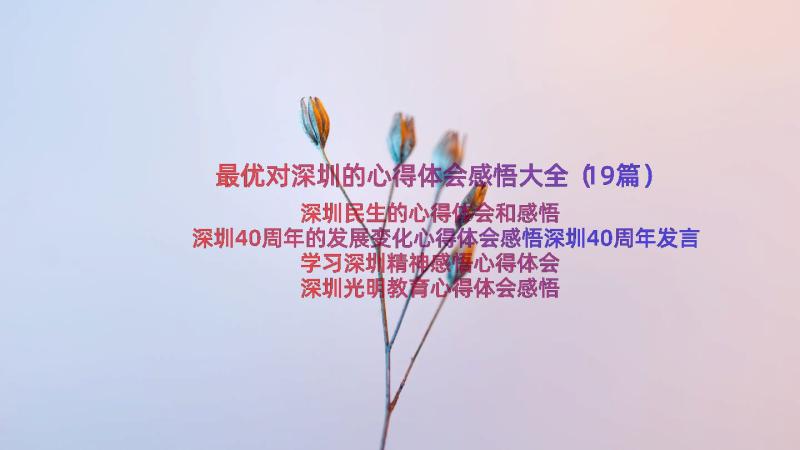 最优对深圳的心得体会感悟大全（19篇）