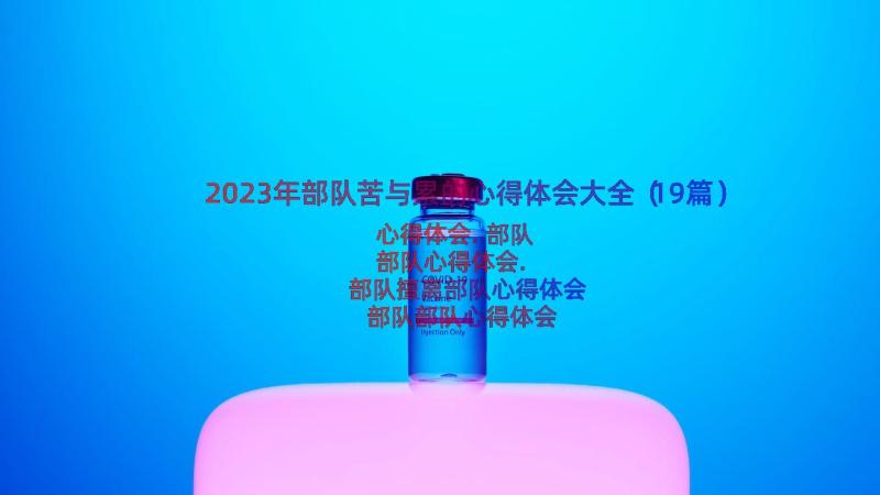 2023年部队苦与累的心得体会大全（19篇）